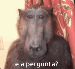 perguntei?