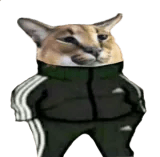 coolafskeptic