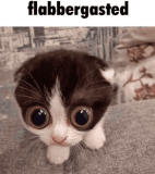 flabbergasted