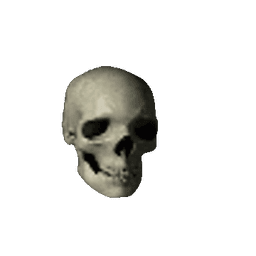 skull