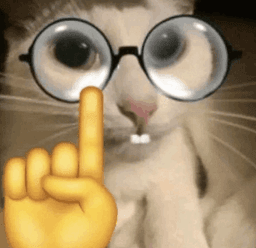 nerdcat