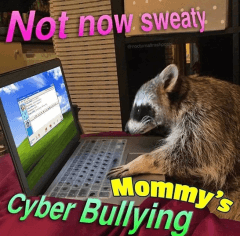 Not Now, Cyber Bullying