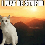 I may be stupid