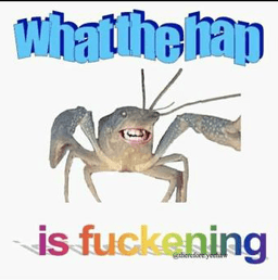 what the hap is fuckening