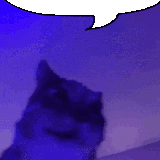 cat talking