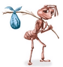 broke ass ant