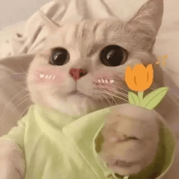 take flower