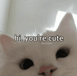 you're cute