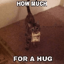 how much for a hug