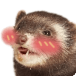 feret blush