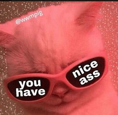 nice ass