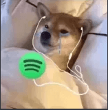 cry and spotify