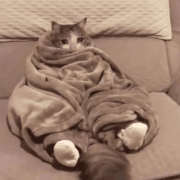 sad bundle