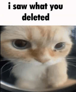 cat delated