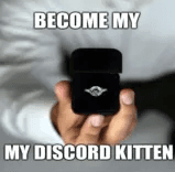 e kitten