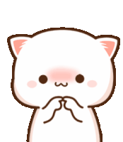 shy