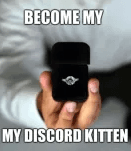 discord kitten (.gg/kitten)