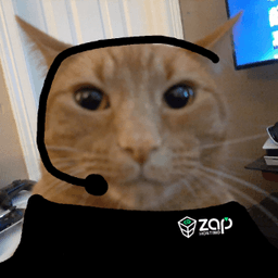 ZAP Support Cat