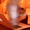 typing fast