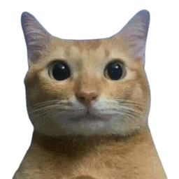 cat potrait