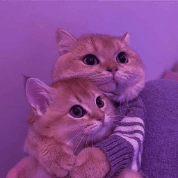 huggie