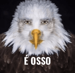 É osso