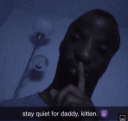 daddy is here kitten