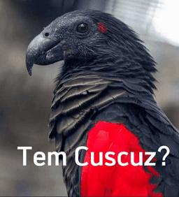 Tem Cuscuz?