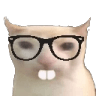 Nerd Cat 2