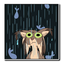 Cat Lynx Rain What