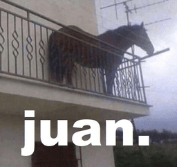 juan