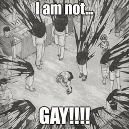 NOT gay