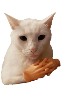 cat hands | .gg/geese