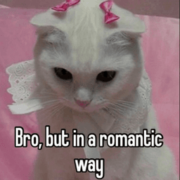 kittybro /boneyard
