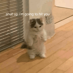 stfu i'm going to hit you