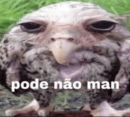 Pode não