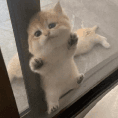 trapped