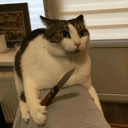 A KNIFE