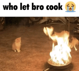 cook .gg/teamakatsuki