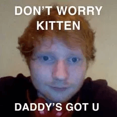 Dont Worry Kitten Daddys Got U