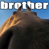 BROTHER.