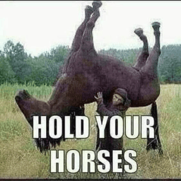 Hold your horses