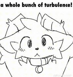 WHOLEBUNCHOFTURBELENCE