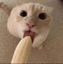 pluh