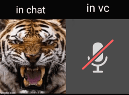 inchatinvc