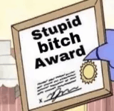 stupid bitch
