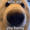  horny? .gg/teamakatsuki