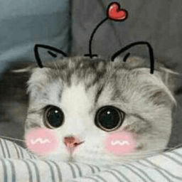 cute .gg/teamakatsuki