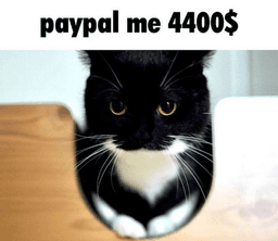 Paypal 