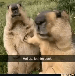 let him cook .gg/teamakatsuki